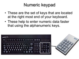 Numeric keypad These are the set of keys that are located at the right most end of your keyboard. These help to enter numeric data faster that using the alphanumeric keys. 