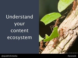 Understand
      your
    content
   ecosystem

                 http://www.ﬂickr.com/photos/rofanator/ / CC BY-NC-ND 2.0


@epublishmedia                                       #pseweb
 