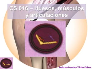 CS 016 – Huesos, músculos
y articulaciones
 