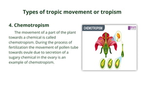 CS1-Chapte-2 in cropscience in agricultural world | PDF