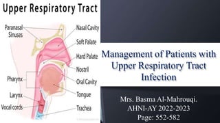 Management of Patients with
Upper Respiratory Tract
Infection
Mrs. Basma Al-Mahrouqi.
AHNI-AY 2022-2023
Page: 552-582
 