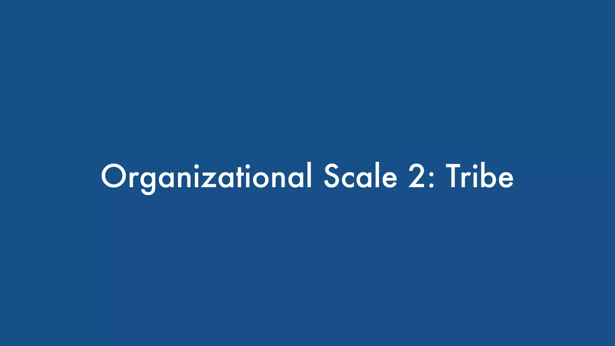 Organizational Scale 2: Tribe
 