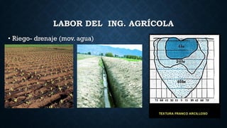 LABOR DEL ING. AGRÍCOLA
• Riego- drenaje (mov. agua)
 