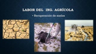 LABOR DEL ING. AGRÍCOLA
• Recuperación de suelos
 