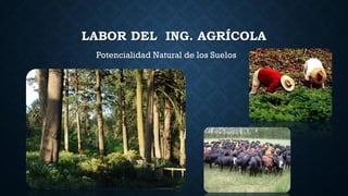 LABOR DEL ING. AGRÍCOLA
Potencialidad Natural de los Suelos
 