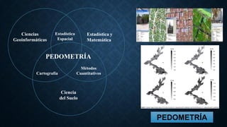 Ciencias
Geoinformáticas
Estadística
Espacial
Estadística y
Matemática
PEDOMETRÍA
Cartografía
Ciencia
del Suelo
Métodos
Cuantitativos
PEDOMETRÍA
 