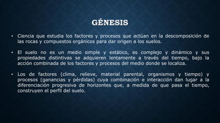 GÉNESIS
• Ciencia que estudia los factores y procesos que actúan en la descomposición de
las rocas y compuestos orgánicos para dar origen a los suelos.
• El suelo no es un medio simple y estático, es complejo y dinámico y sus
propiedades distintivas se adquieren lentamente a través del tiempo, bajo la
acción combinada de los factores y procesos del medio donde se localiza.
• Los de factores (clima, relieve, material parental, organismos y tiempo) y
procesos (ganancias y pérdidas) cuya combinación e interacción dan lugar a la
diferenciación progresiva de horizontes que, a medida de que pasa el tiempo,
construyen el perfil del suelo.
 