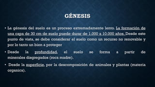 • La génesis del suelo es un proceso extremadamente lento. La formación de
una capa de 30 cm de suelo puede durar de 1.000 a 10.000 años. Desde este
punto de vista, se debe considerar el suelo como un recurso no renovable y
por lo tanto un bien a proteger
• Desde la profundidad, el suelo se forma a partir de
minerales disgregados (roca madre).
• Desde la superficie, por la descomposición de animales y plantas (materia
organica).
GÉNESIS
 