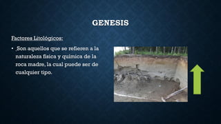 GENESIS
Factores Litológicos:
• Son aquellos que se refieren a la
naturaleza física y química de la
roca madre, la cual puede ser de
cualquier tipo.
 