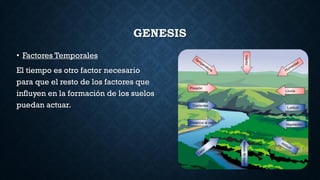 GENESIS
• Factores Temporales
El tiempo es otro factor necesario
para que el resto de los factores que
influyen en la formación de los suelos
puedan actuar.
 