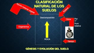 Descomposición
ROCA
Clima Ppt
T°
Hum
relativa
Tiempo
Organismos
CLASIFICACIÓN
NATURAL DE LOS
SUELOS
GÉNESIS Y EVOLUCIÓN DEL SUELO
 