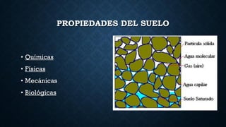 PROPIEDADES DEL SUELO
• Químicas
• Físicas
• Mecánicas
• Biológicas
 