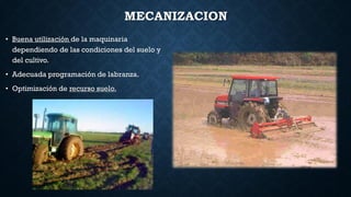 MECANIZACION
• Buena utilización de la maquinaria
dependiendo de las condiciones del suelo y
del cultivo.
• Adecuada programación de labranza.
• Optimización de recurso suelo.
 