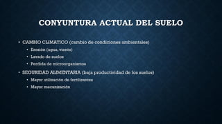 CONYUNTURA ACTUAL DEL SUELO
• CAMBIO CLIMATICO (cambio de condiciones ambientales)
• Erosión (agua, viento)
• Lavado de suelos
• Perdida de microorganismos
• SEGURIDAD ALIMENTARIA (baja productividad de los suelos)
• Mayor utilización de fertilizantes
• Mayor mecanización
 