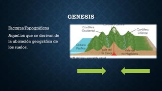 GENESIS
Factores Topográficos
Aquellos que se derivan de
la ubicación geográfica de
los suelos.
 