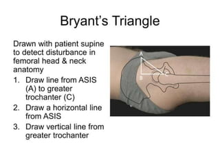 Clinical Skills Surface Anatomy UL&LL.pdf