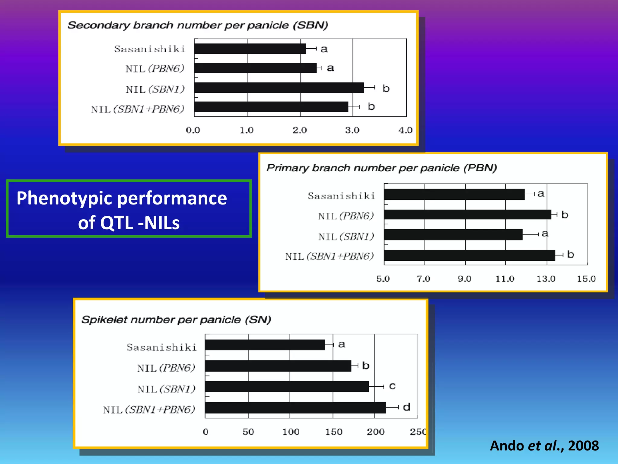 Ando et al., 2008
Phenotypic performance
of QTL -NILs
 