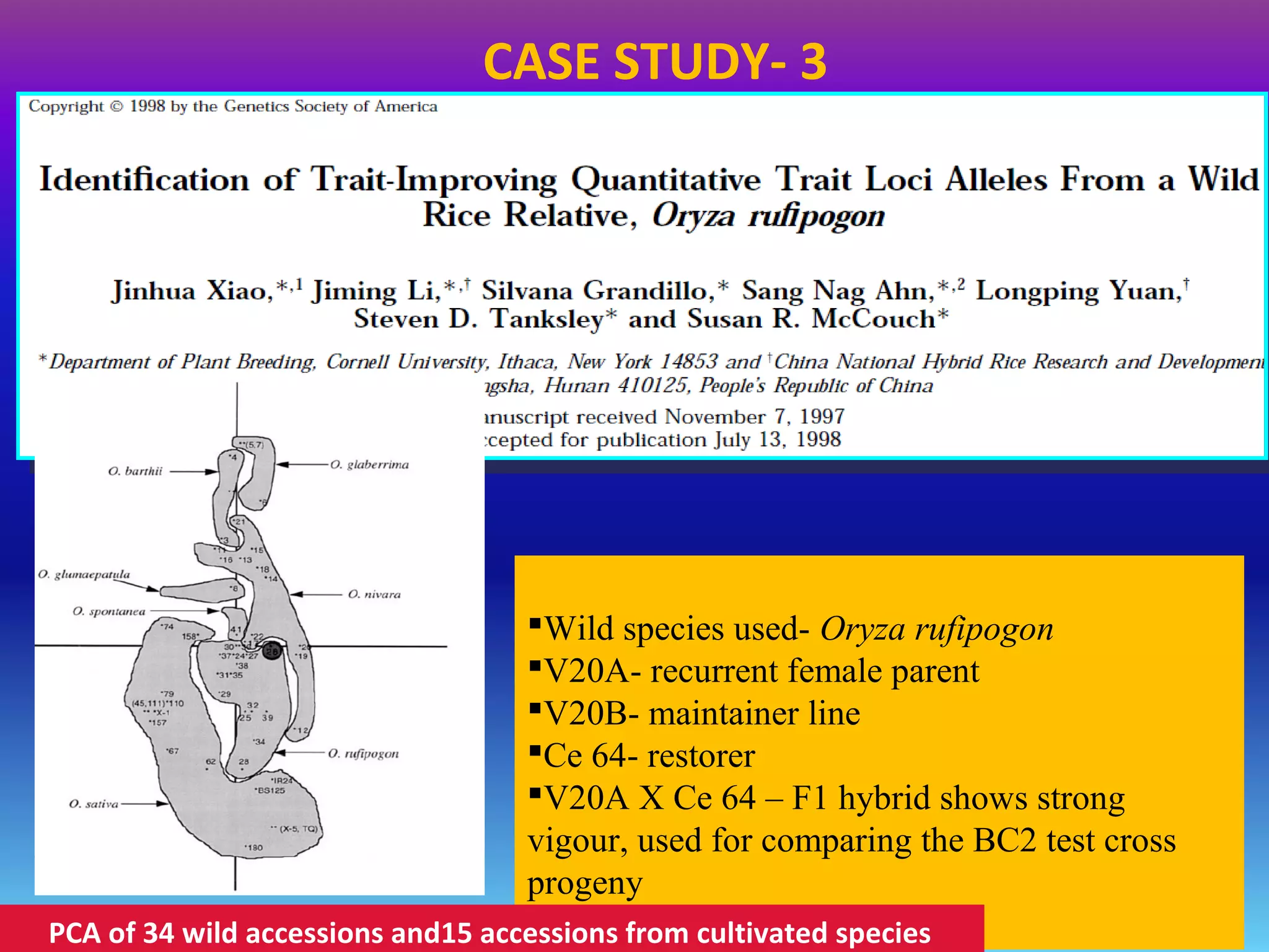 Wild species used- Oryza rufipogon
V20A- recurrent female parent
V20B- maintainer line
Ce 64- restorer
V20A X Ce 64 – F1 hybrid shows strong
vigour, used for comparing the BC2 test cross
progeny
PCA of 34 wild accessions and15 accessions from cultivated species
CASE STUDY- 3
 