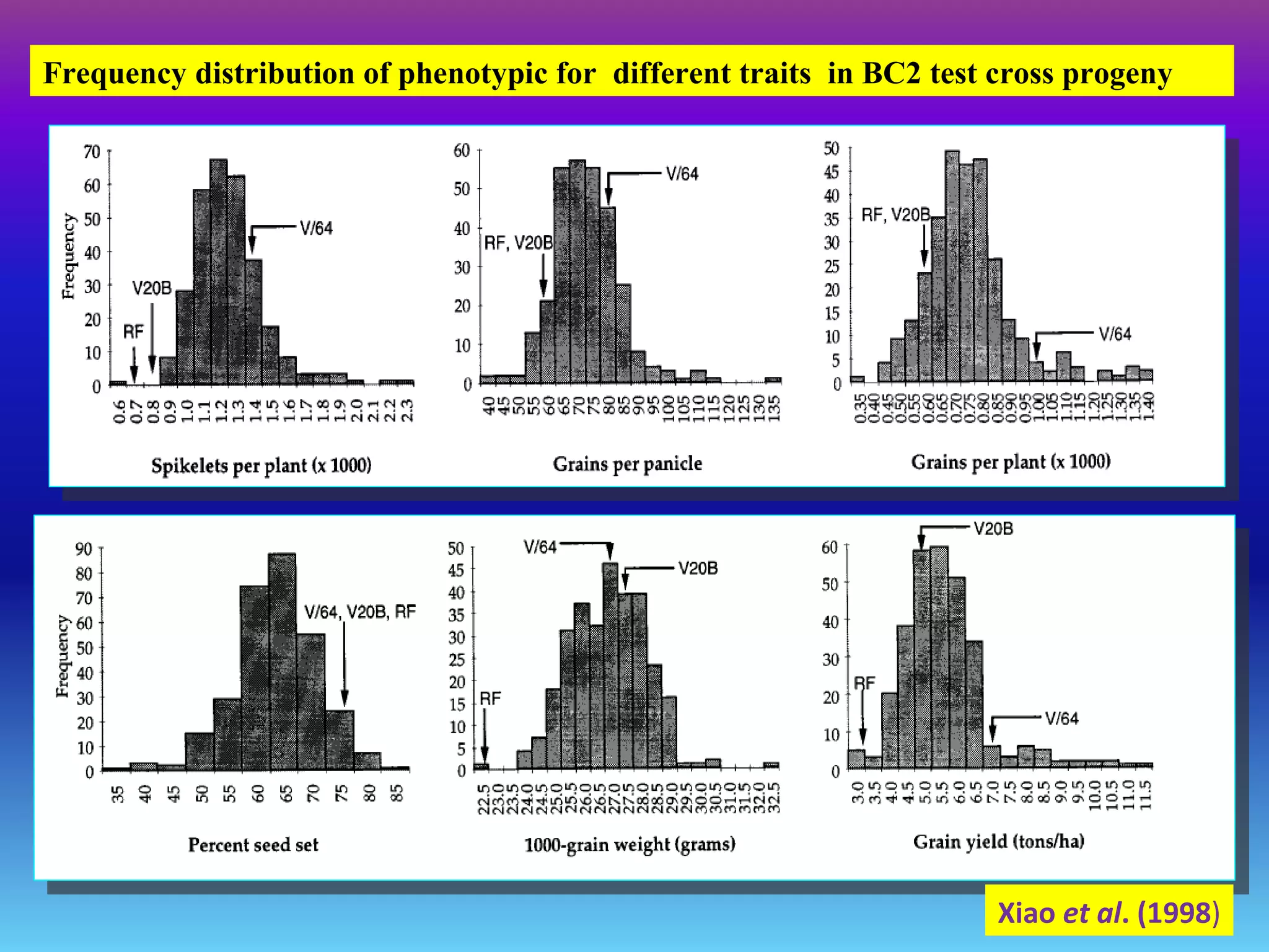 Xiao et al. (1998)
Frequency distribution of phenotypic for different traits in BC2 test cross progeny
 