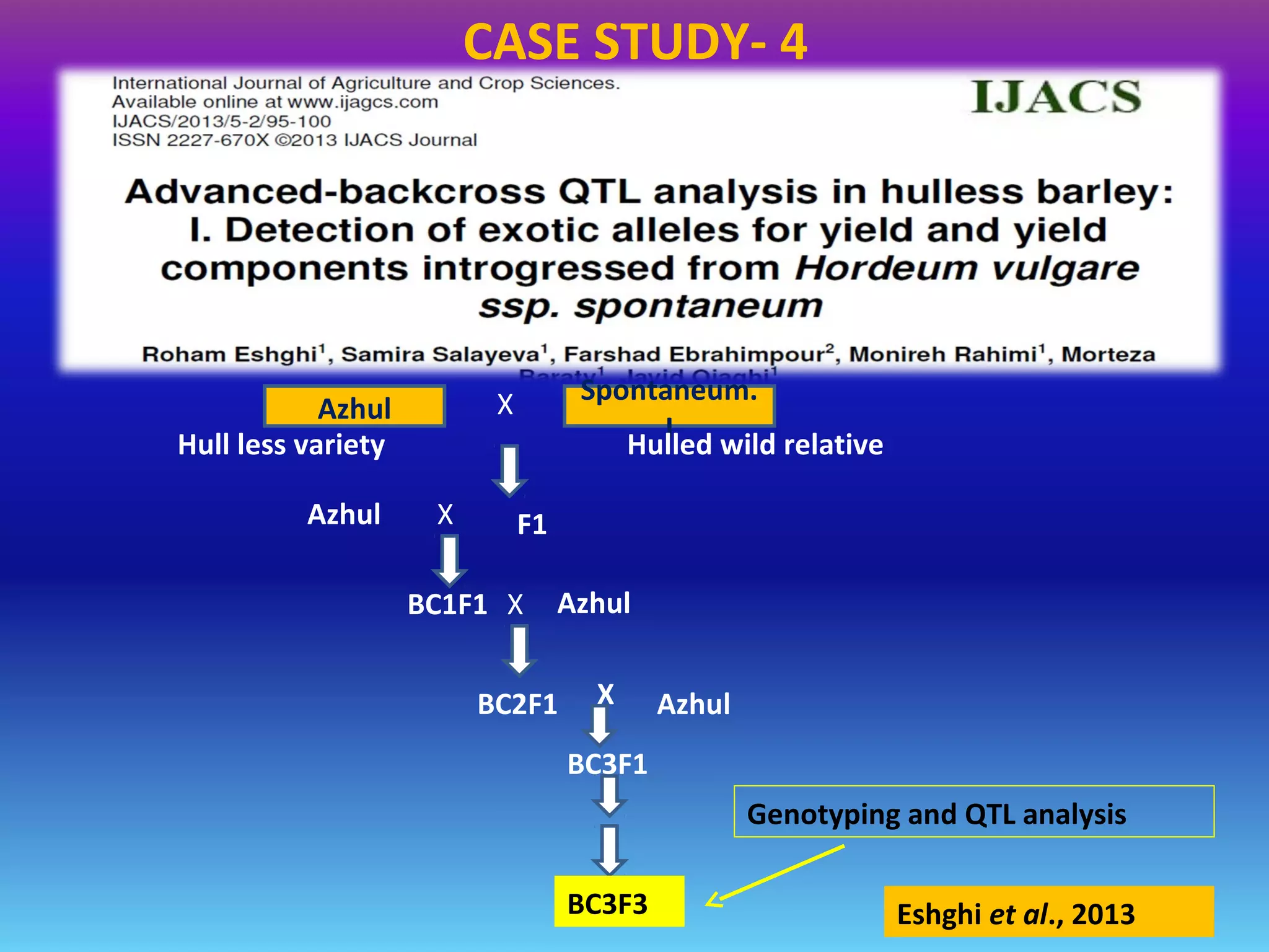 Azhul X Spontaneum.
I
F1Azhul X
BC1F1 X Azhul
BC2F1 X Azhul
BC3F1
BC3F3
Genotyping and QTL analysis
Eshghi et al., 2013
Hull less variety Hulled wild relative
CASE STUDY- 4
 