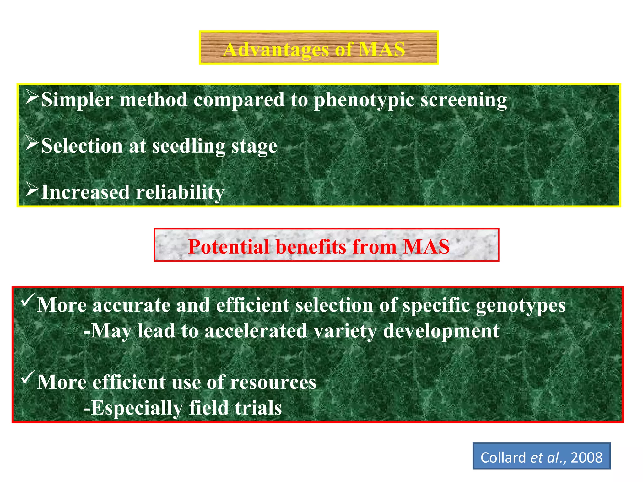 Advantages of MAS
Simpler method compared to phenotypic screening
Selection at seedling stage
Increased reliability
Potential benefits from MAS
More accurate and efficient selection of specific genotypes
-May lead to accelerated variety development
More efficient use of resources
-Especially field trials
Collard et al., 2008
 