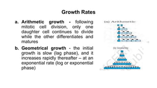 Growth Rates
a. Arithmetic growth - following
mitotic cell division, only one
daughter cell continues to divide
while the other differentiates and
matures
b. Geometrical growth - the initial
growth is slow (lag phase), and it
increases rapidly thereafter – at an
exponential rate (log or exponential
phase)
 
