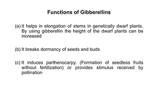 Functions of Gibberellins
(a) It helps in elongation of stems in genetically dwarf plants.
By using gibberellin the height of the dwarf plants can be
increased
(b) It breaks dormancy of seeds and buds
(c) It induces parthenocarpy. (Formation of seedless fruits
without fertilization) or provides stimulus received by
pollination
 