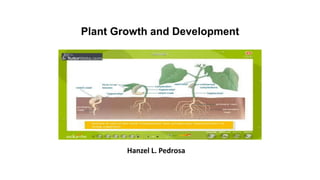 Plant Growth and Development
Hanzel L. Pedrosa
 