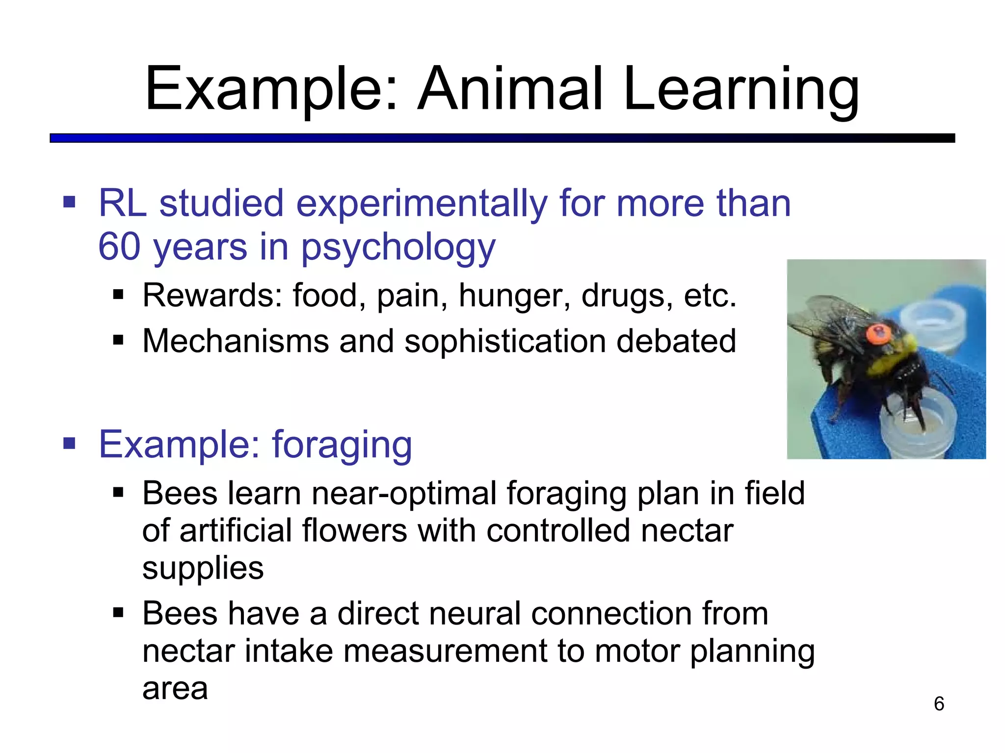 Example: Animal Learning RL studied experimentally for more than 60 years in psychology Rewards: food, pain, hunger, drugs, etc. Mechanisms and sophistication debated Example: foraging Bees learn near-optimal foraging plan in field of artificial flowers with controlled nectar supplies Bees have a direct neural connection from nectar intake measurement to motor planning area 