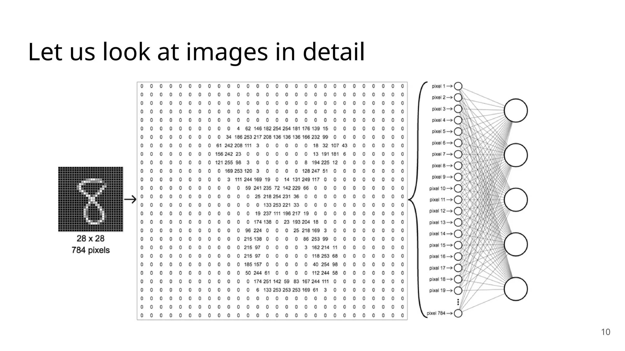 Let us look at images in detail
10
 