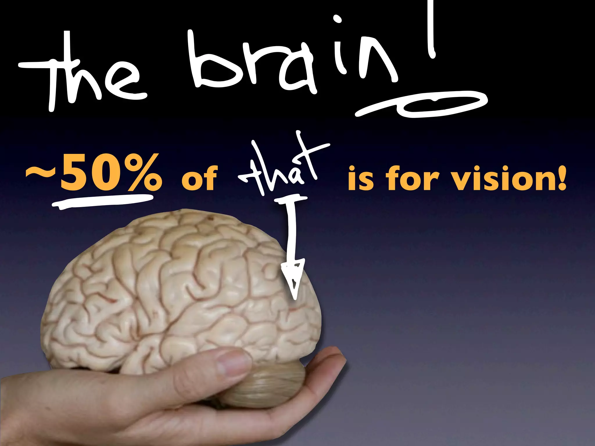 ~50% of   is for vision!
 