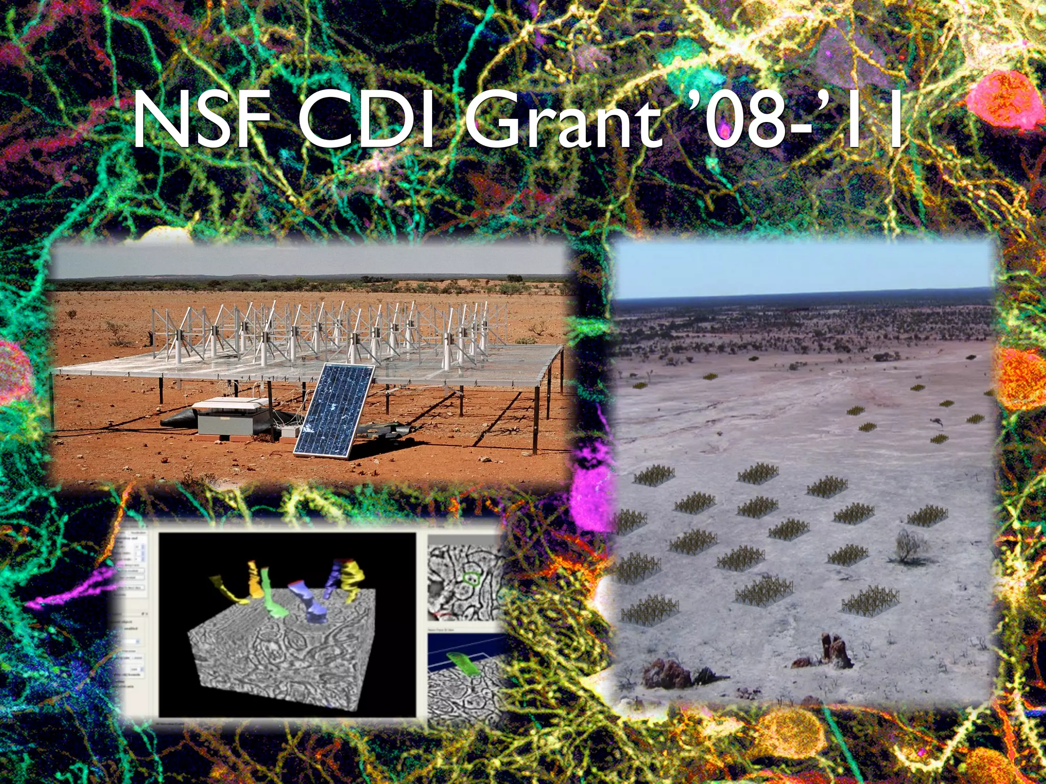 NSF CDI Grant ’08-’11
 