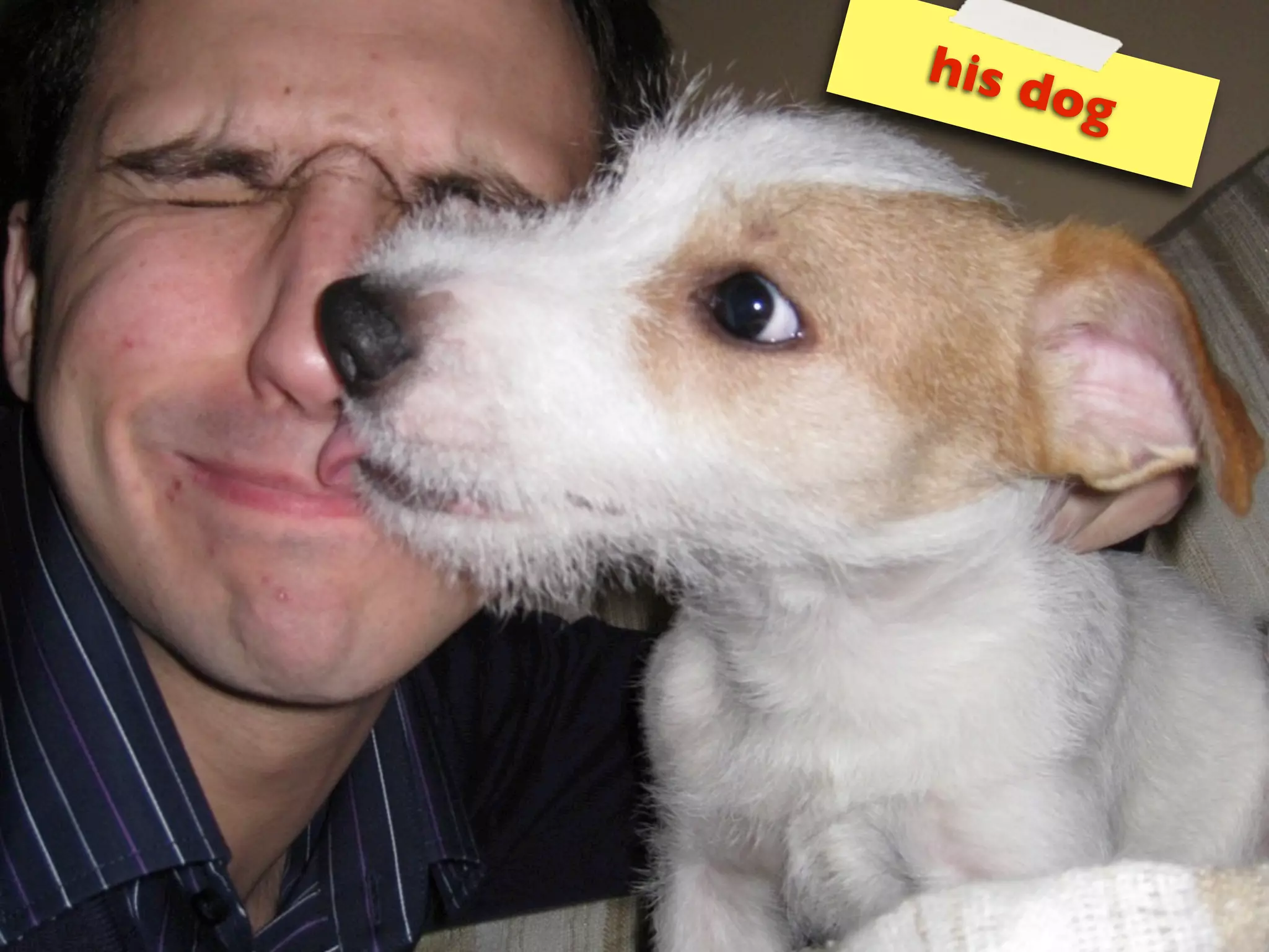 his d
                 og
I like
 