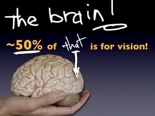 ~50% of   is for vision!
 
