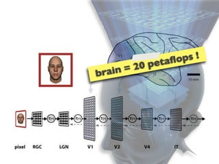 t aﬂo ps !
      in =2 0 pe
bra
 