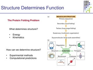 Structures Predication Complex Cs273 structure prediction | PPT