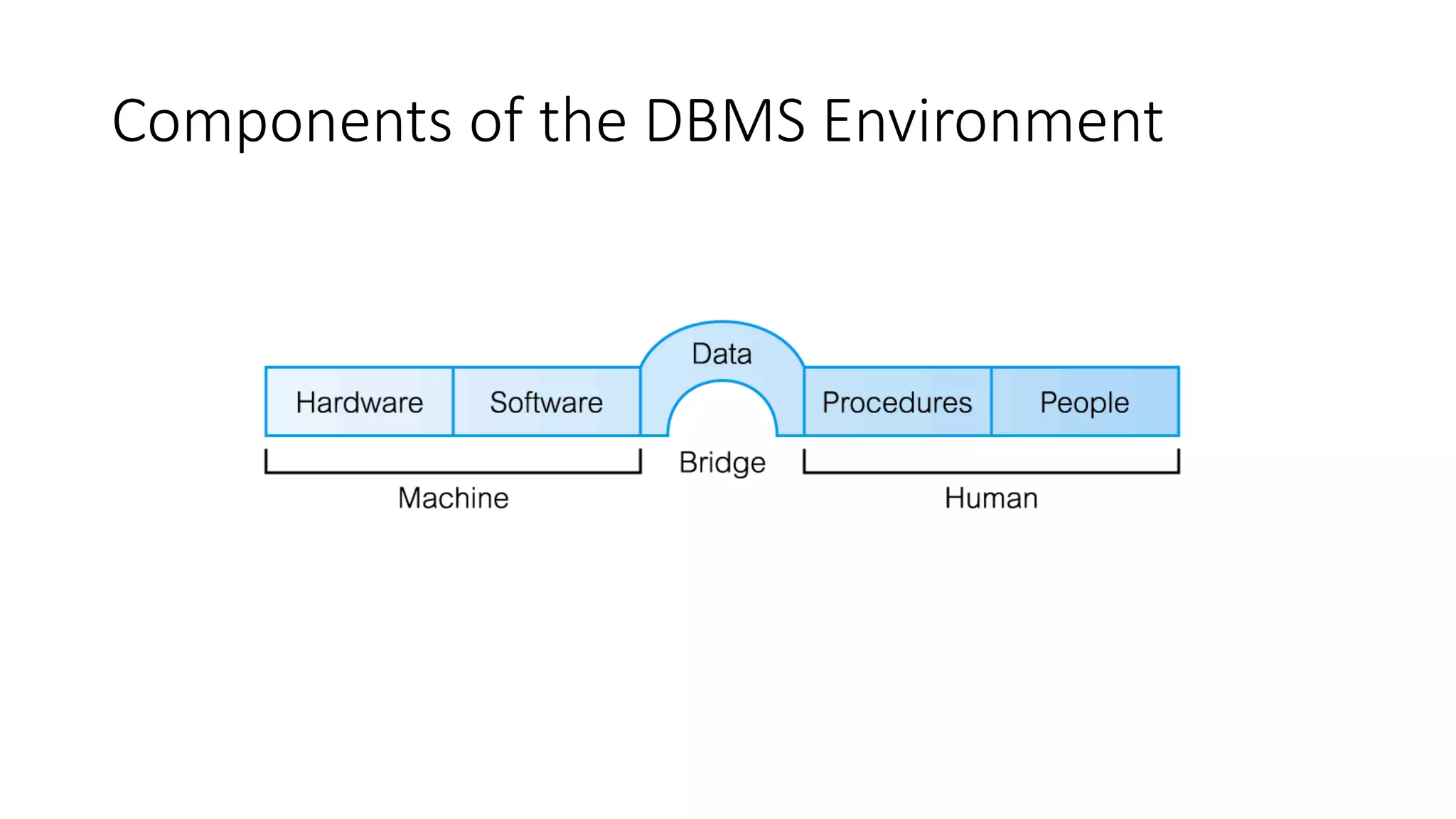 Components of the DBMS Environment 
