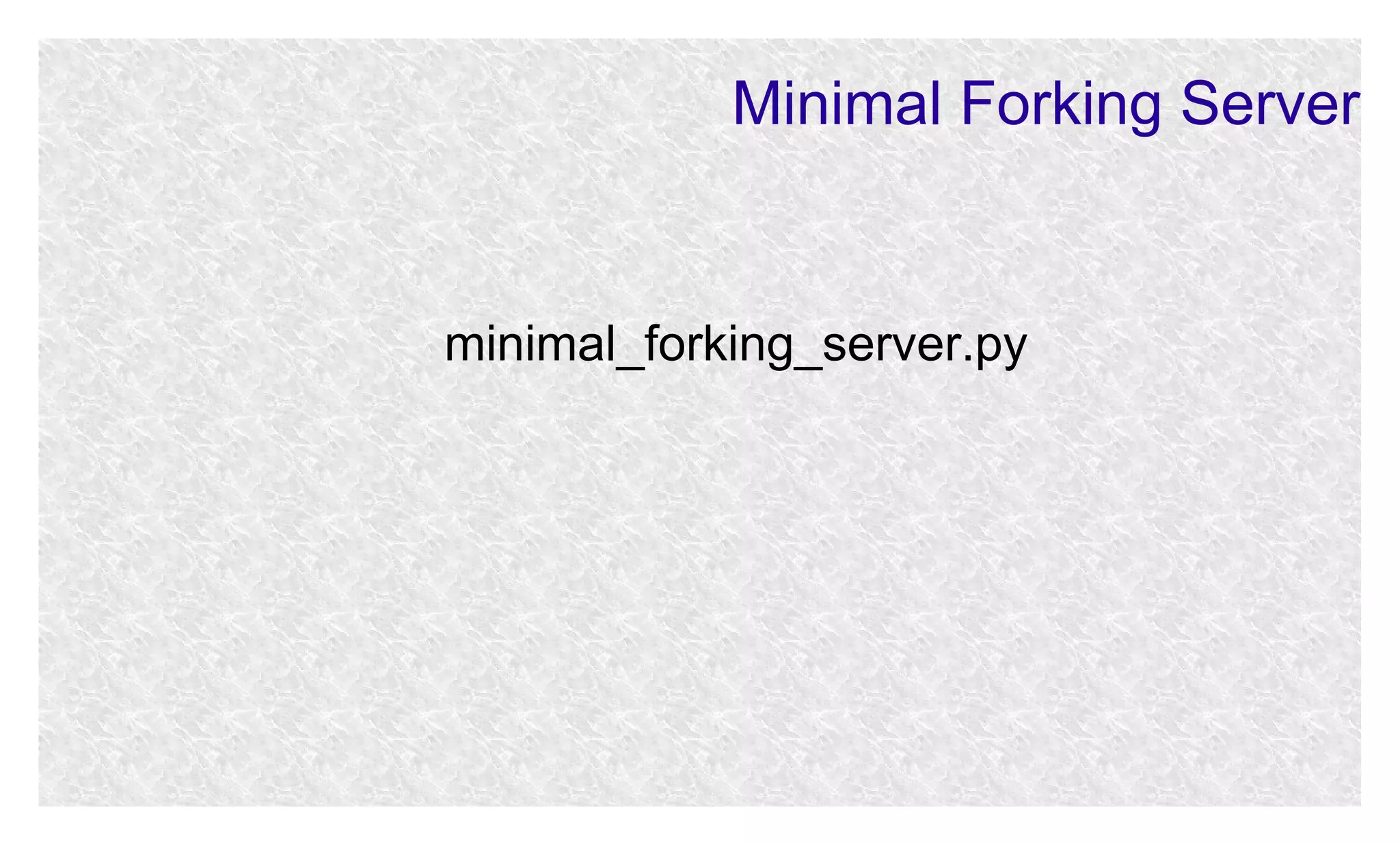 Minimal Forking Server

minimal_forking_server.py

 
