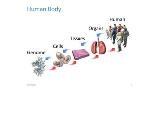 Human Body
Human
Organs
Tissues
Cells
Genome
9/27/2022 2
 
