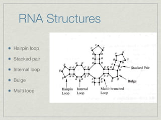 RNA Secondary Structure Prediction | KEY