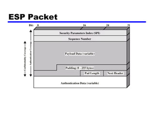 ESP Packet
 