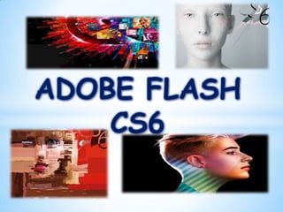ADOBE FLASH
    CS6
 