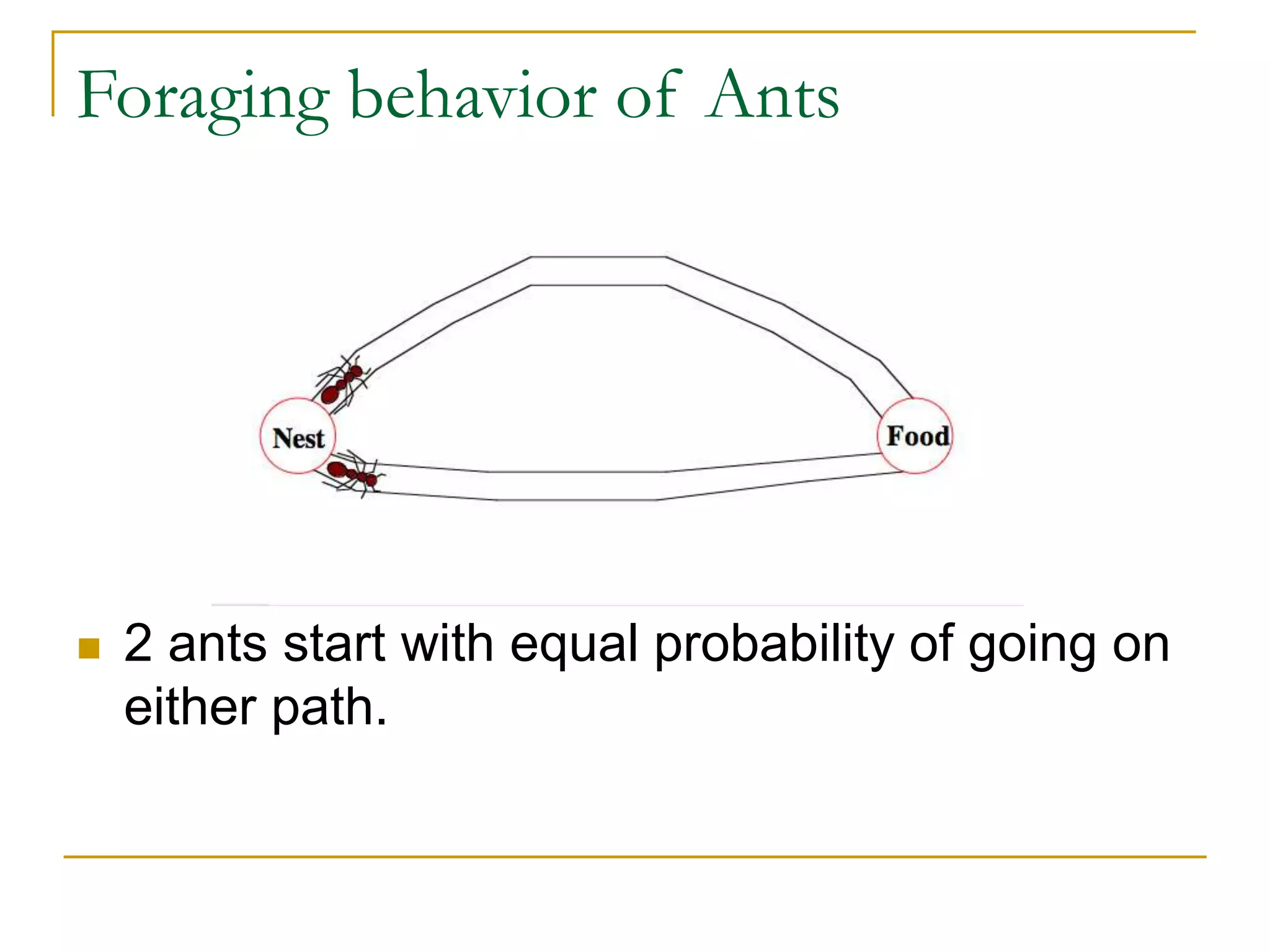 Foraging behavior of Ants
 2 ants start with equal probability of going on
either path.
 