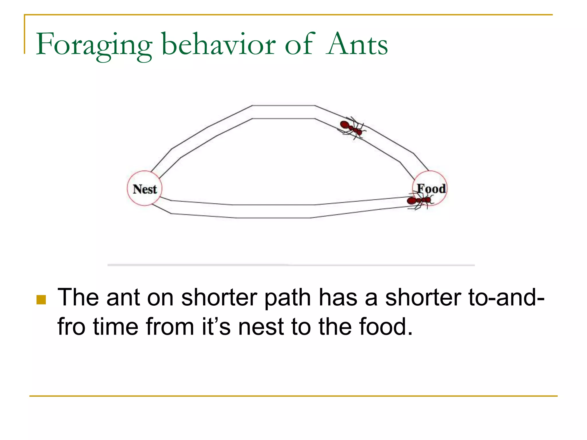 Foraging behavior of Ants
 The ant on shorter path has a shorter to-and-
fro time from it’s nest to the food.
 