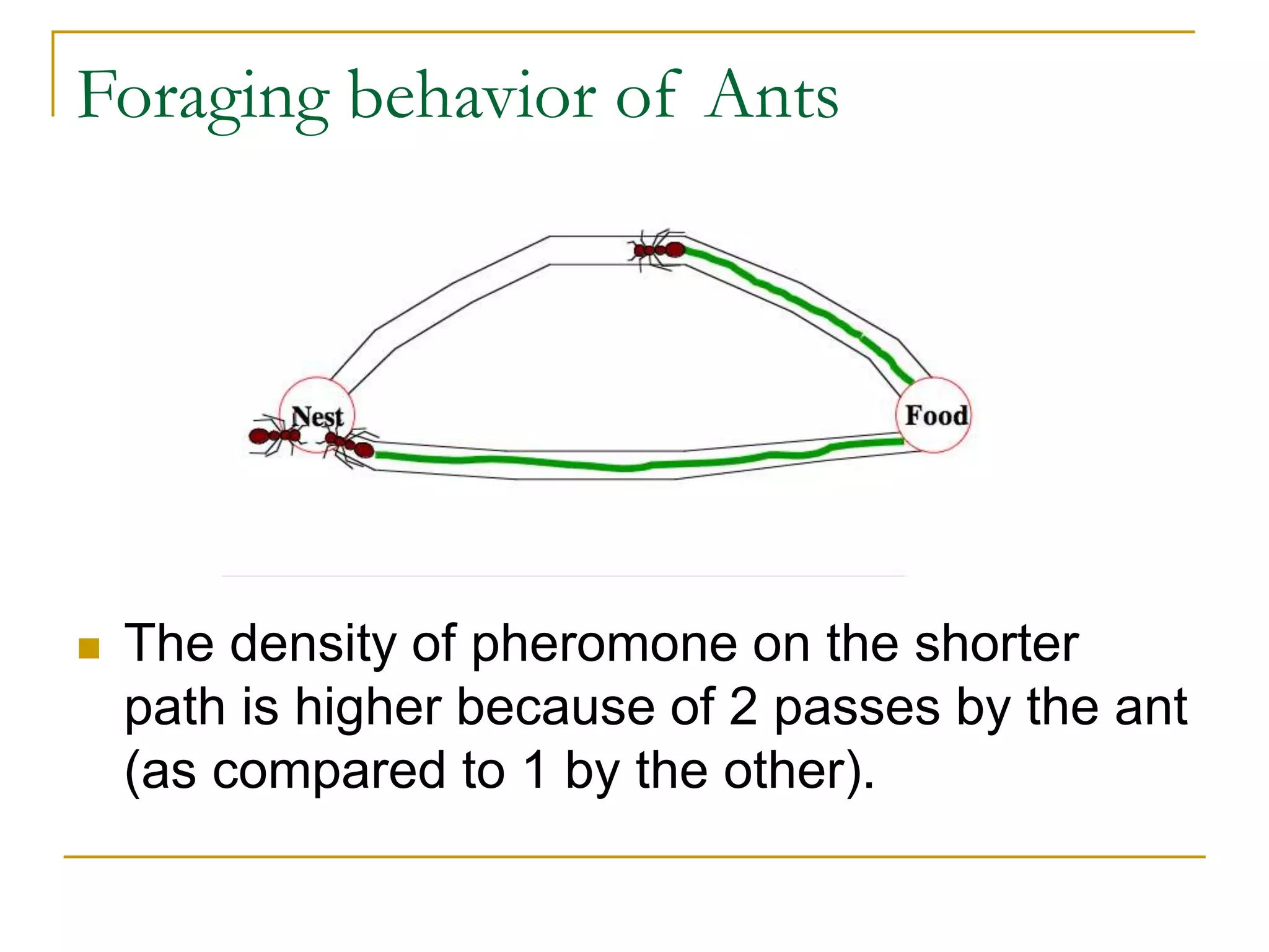 Foraging behavior of Ants
 The density of pheromone on the shorter
path is higher because of 2 passes by the ant
(as compared to 1 by the other).
 