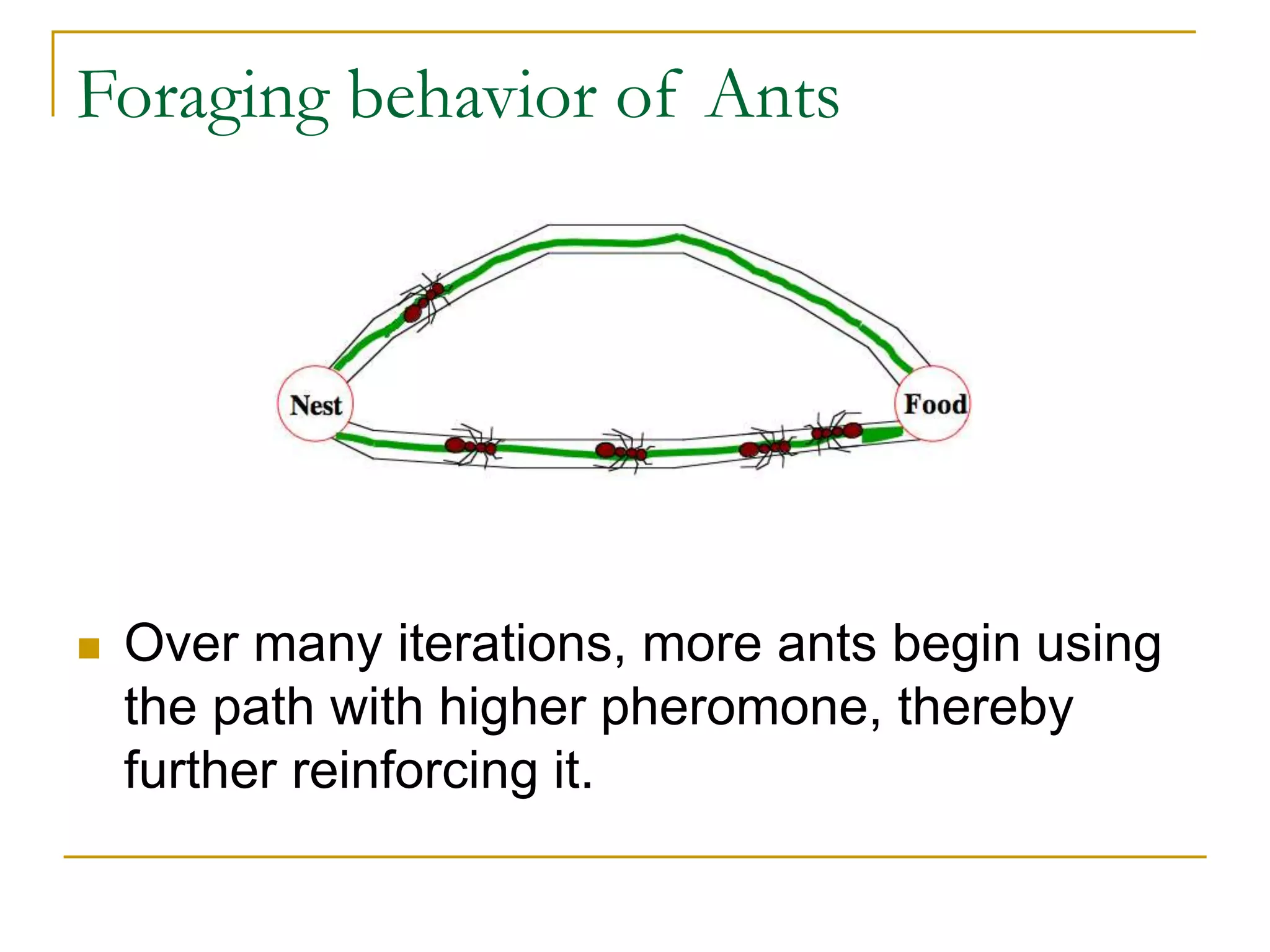 Foraging behavior of Ants
 Over many iterations, more ants begin using
the path with higher pheromone, thereby
further reinforcing it.
 