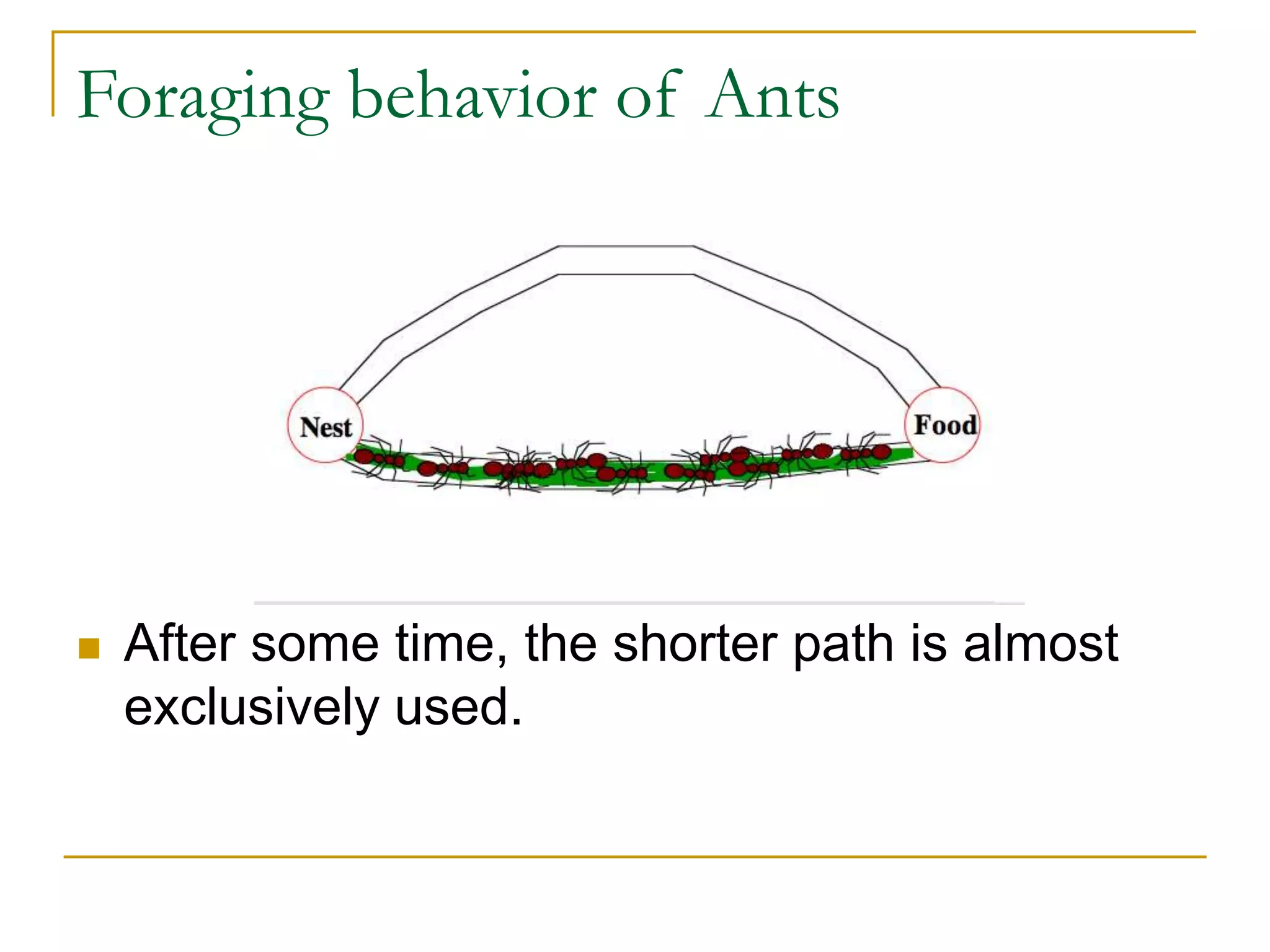 Foraging behavior of Ants
 After some time, the shorter path is almost
exclusively used.
 
