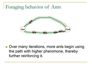 Various Algorithms
 First in early 90’s.
 Ant System (AS):
 First ACO algorithm.
 Pheromone updated by all ants in the...