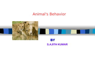 Animal's Behavior
BYBY
S.AJITH KUMAR
 