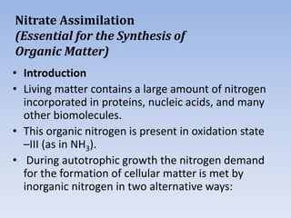 Nitrate Assimilation
(Essential for the Synthesis of
Organic Matter)
• Introduction
• Living matter contains a large amount of nitrogen
incorporated in proteins, nucleic acids, and many
other biomolecules.
• This organic nitrogen is present in oxidation state
–III (as in NH3).
• During autotrophic growth the nitrogen demand
for the formation of cellular matter is met by
inorganic nitrogen in two alternative ways:
 